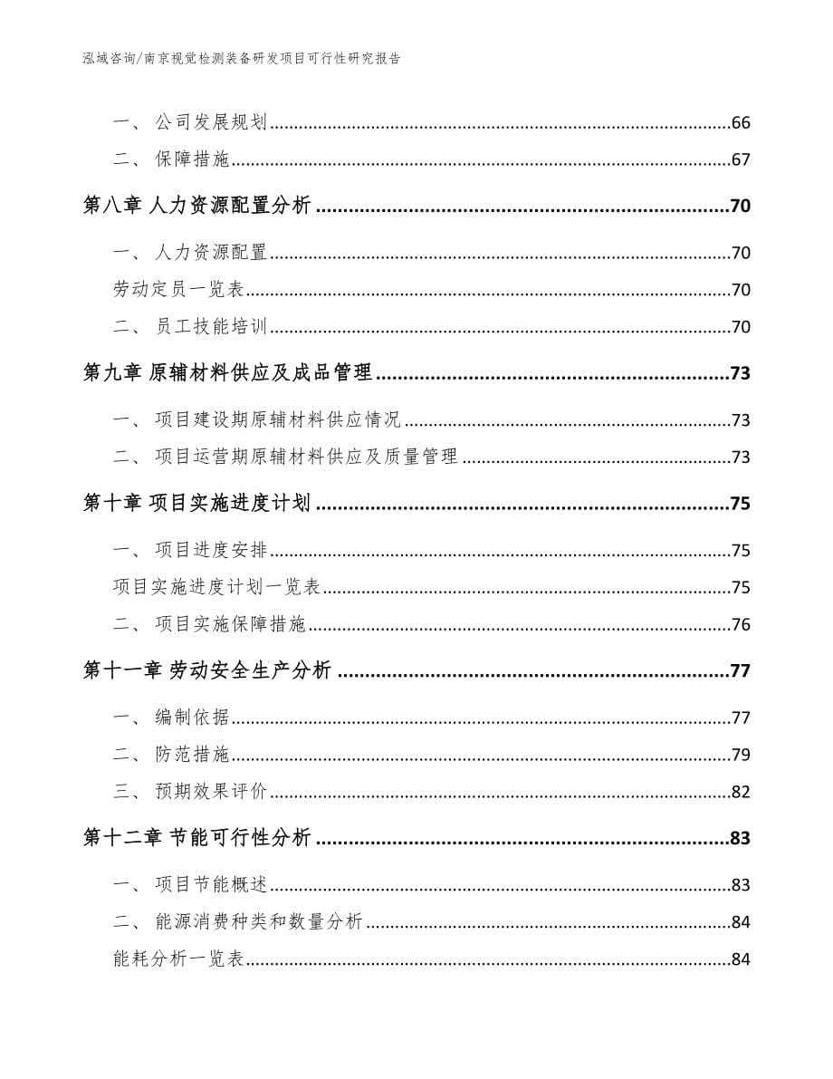 南京视觉检测装备研发项目可行性研究报告（模板范本）_第5页