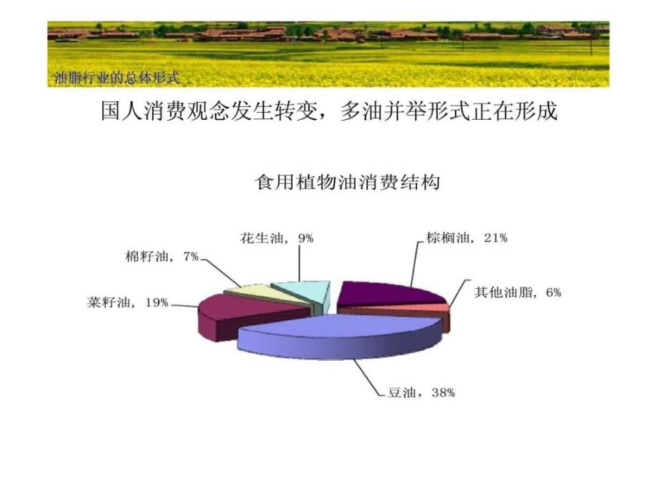 油脂行业分析报告1657693282_第4页