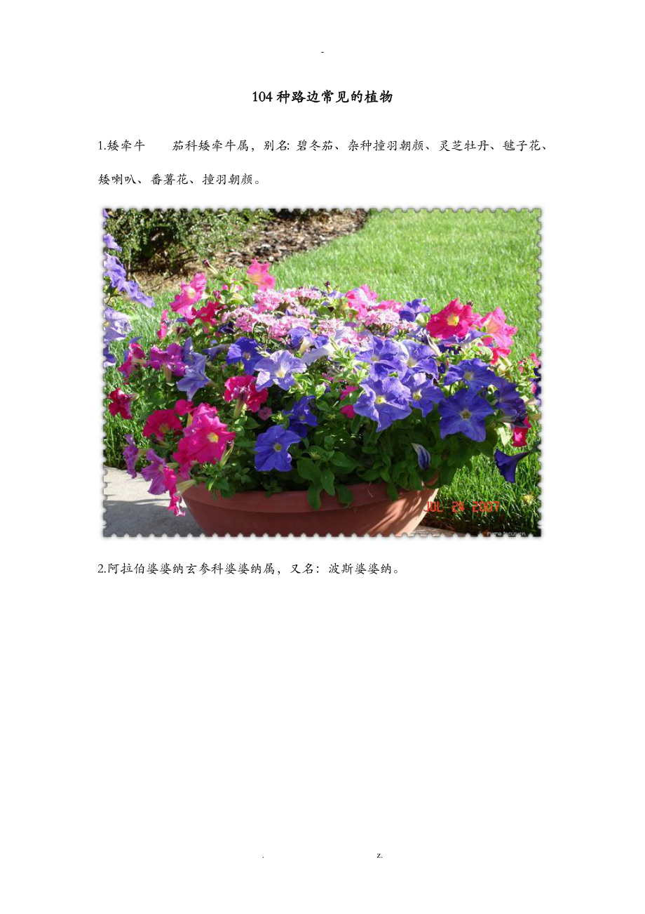 104种常见的植物图片集_第1页