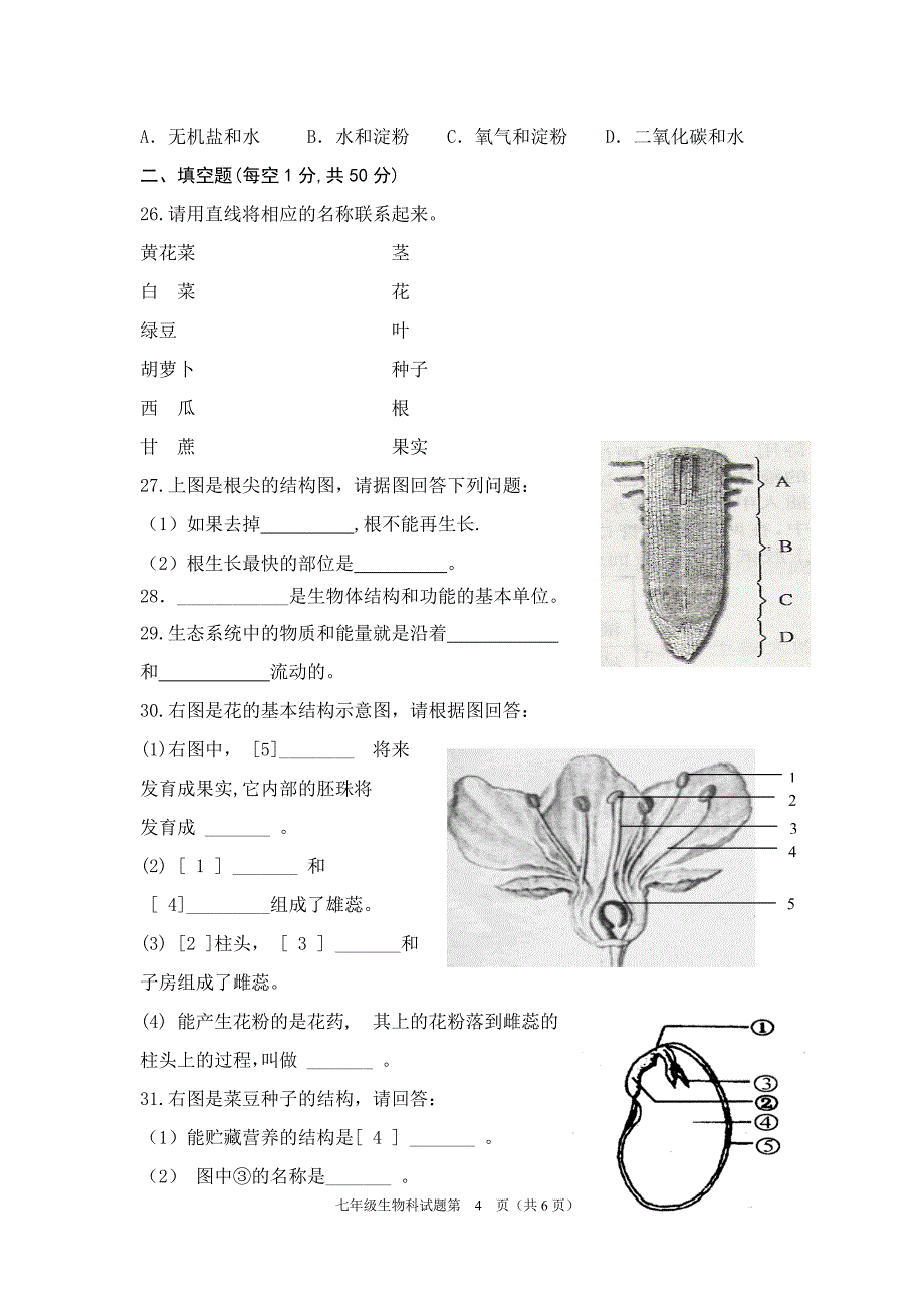 七年级生物上期末试卷_第4页