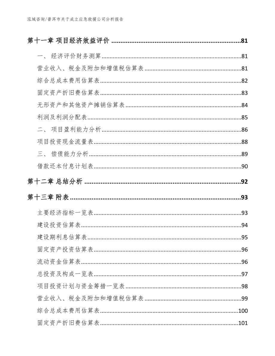 普洱市关于成立应急救援公司分析报告_第5页