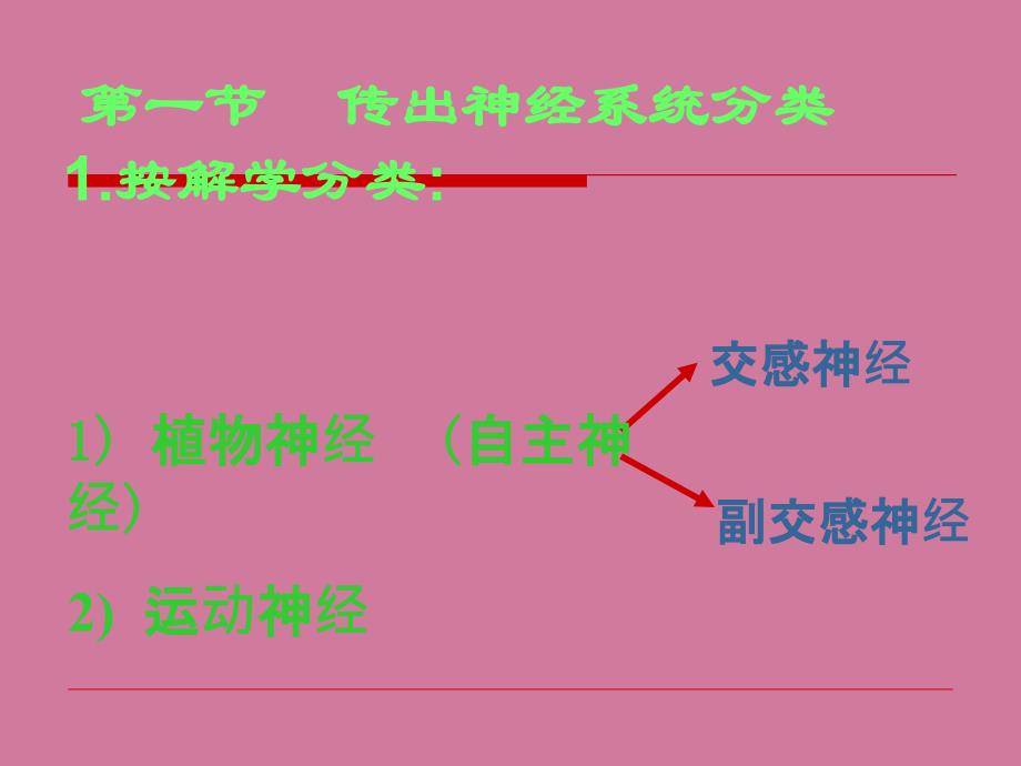 神经递质肾上腺素ppt课件_第2页