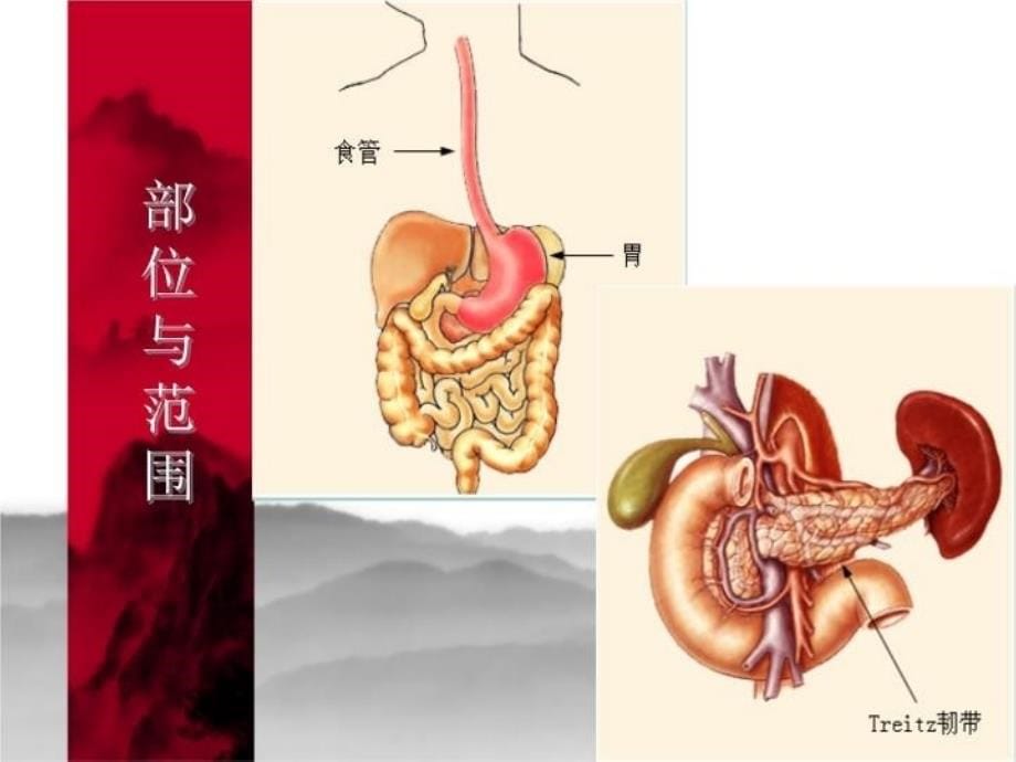 最新外科学教学资料41上消化道出血鉴别诊断及处理原则ppt课件_第5页