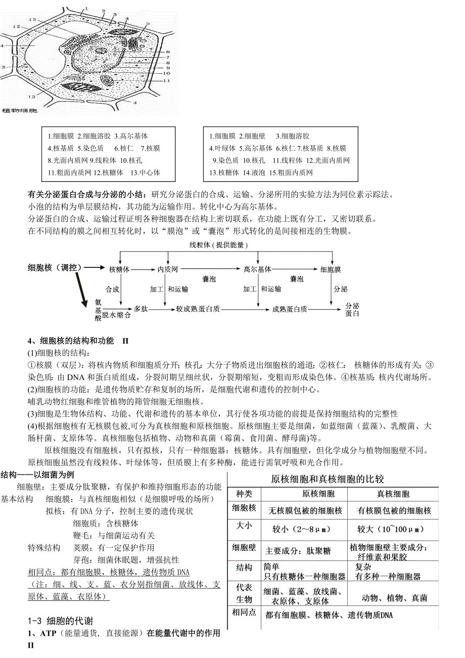 浙教版高中生物必修1知识点最新整理_第4页