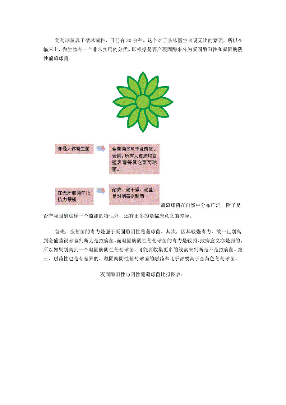 革兰阳性菌感染的治疗进展讲座_第2页