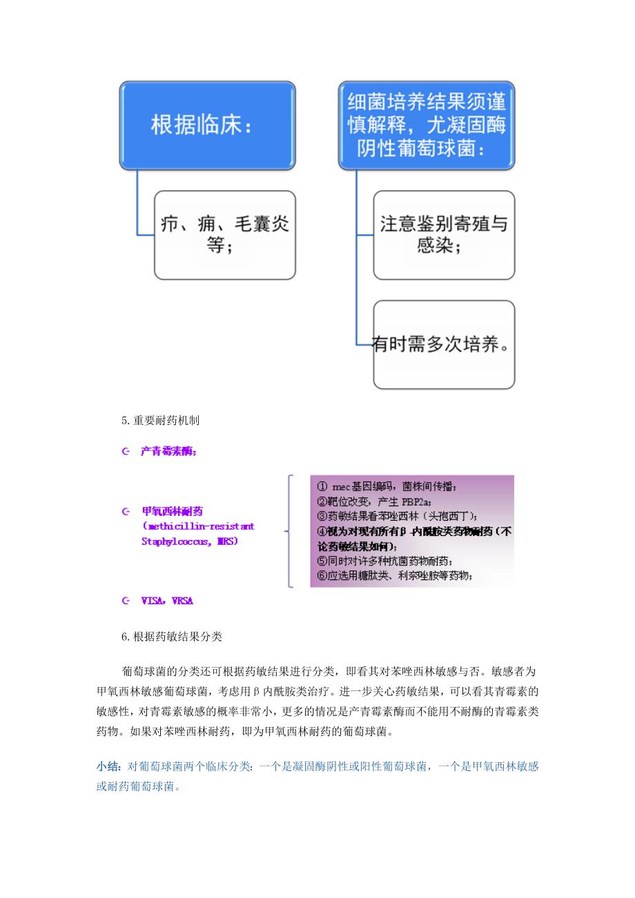 革兰阳性菌感染的治疗进展讲座_第4页