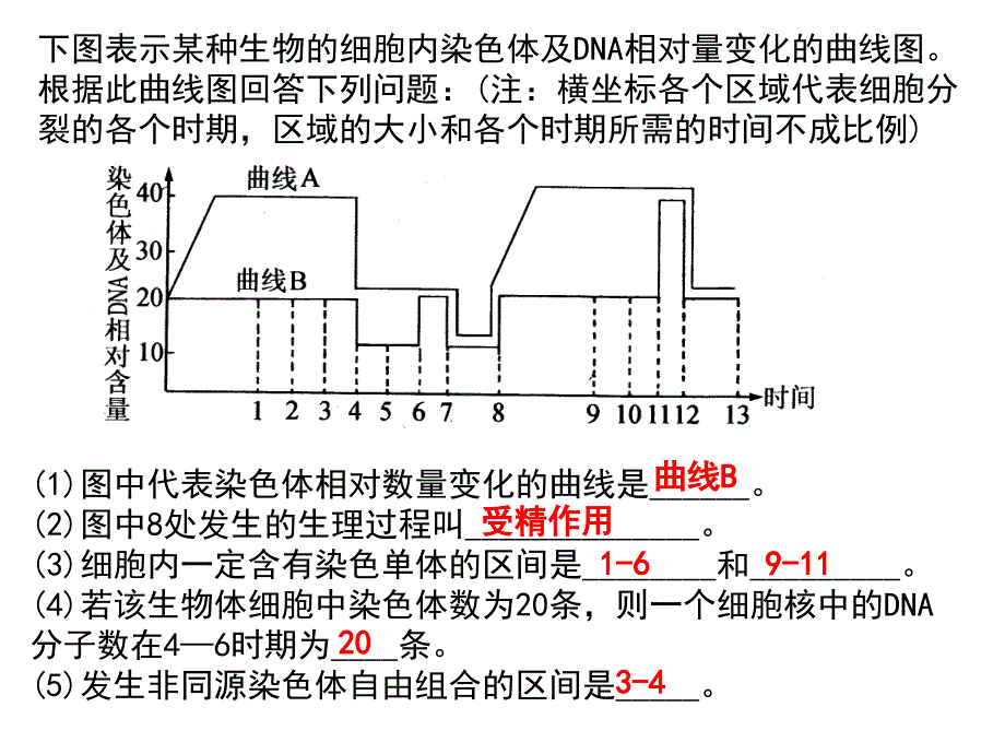 22基因在染色体上_第3页