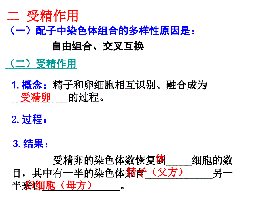 22基因在染色体上_第4页