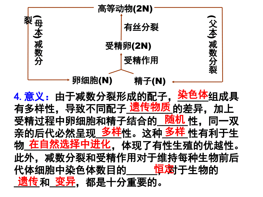 22基因在染色体上_第5页