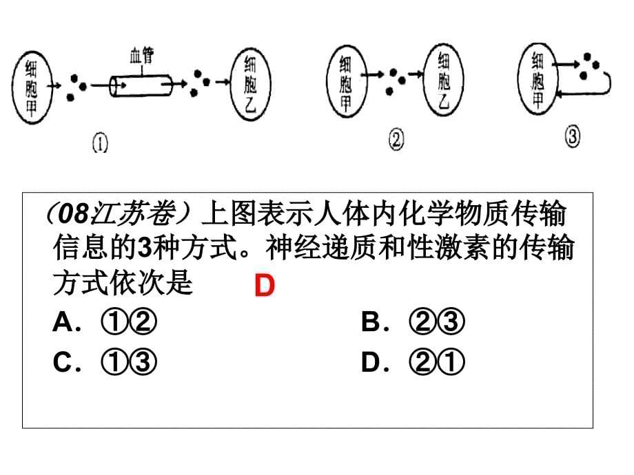 高等动物的内分泌系统与体液调节上课用_第5页