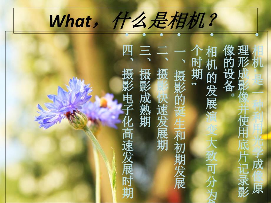 《照相机发展史(PPT)》教学资料_第2页