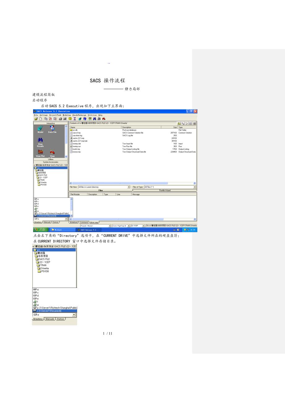 sacs操作流程_第1页