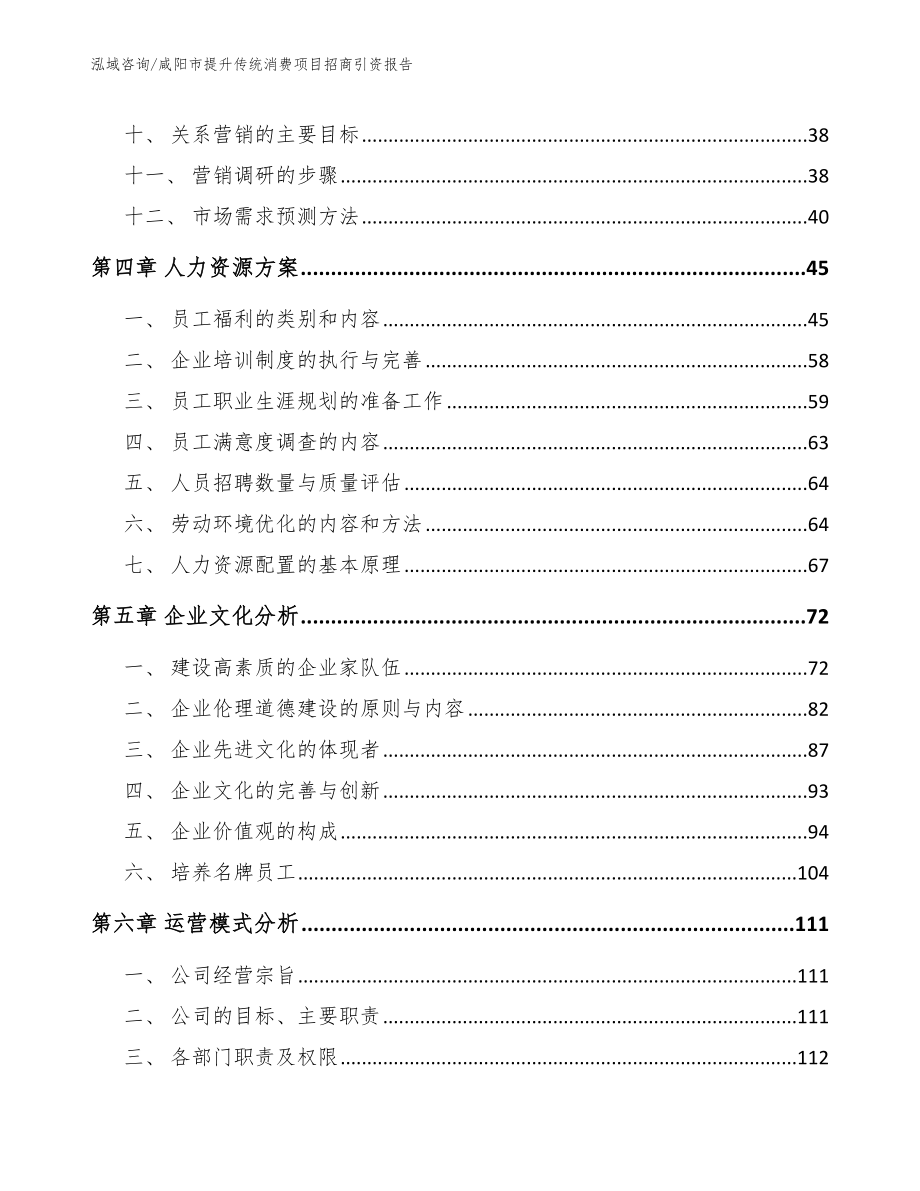 咸阳市提升传统消费项目招商引资报告_第4页