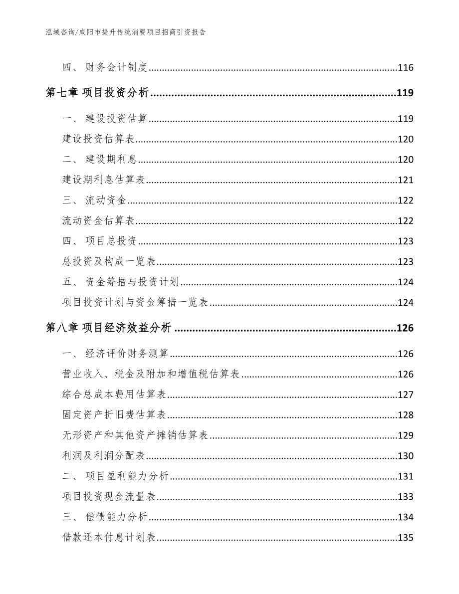 咸阳市提升传统消费项目招商引资报告_第5页