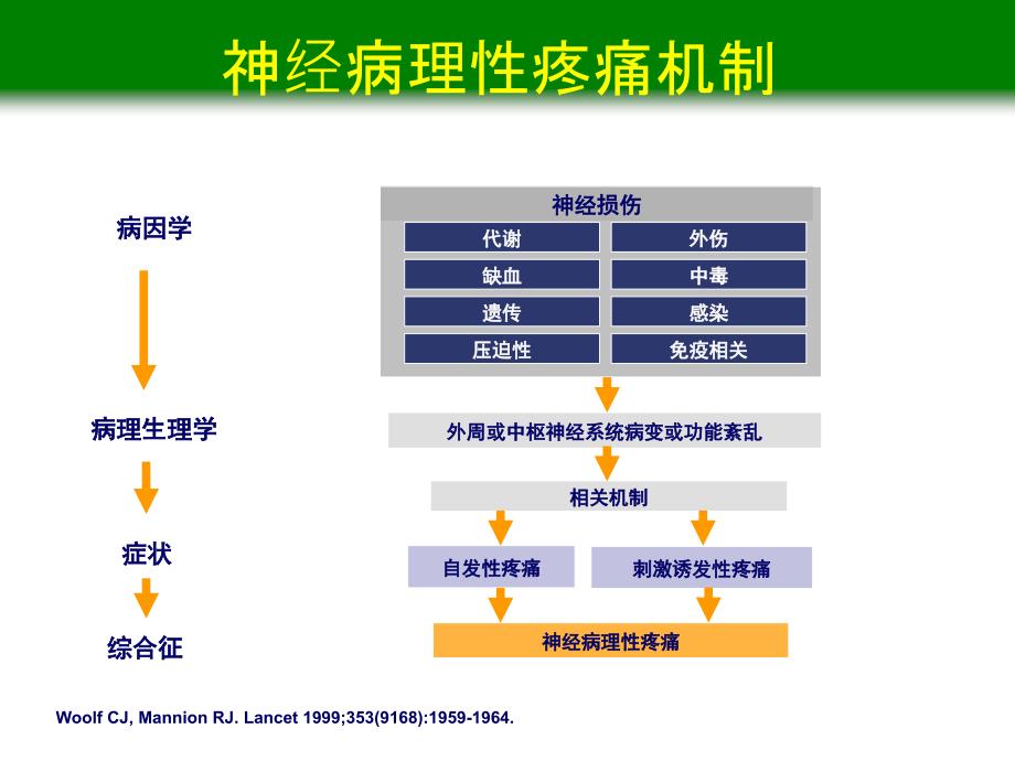 神经妥乐平在康复科电子教案_第3页