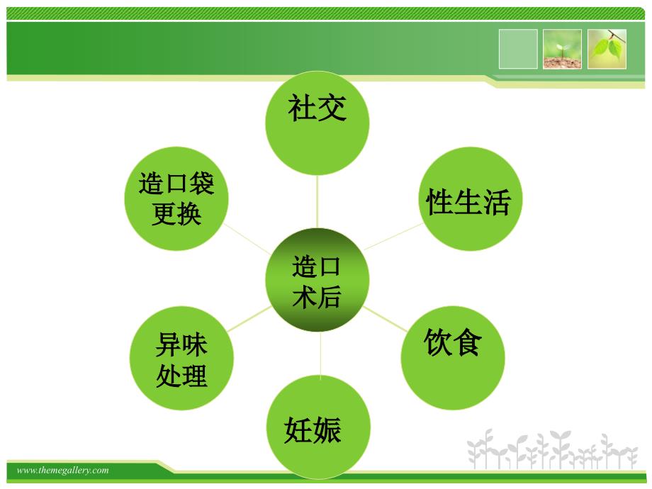 造口病人健康教育_第3页