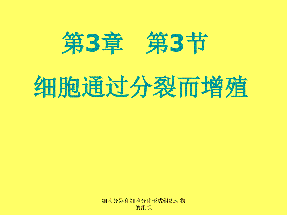 细胞分裂和细胞分化形成组织动物的组织课件_第1页