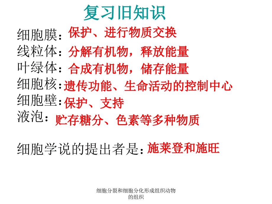 细胞分裂和细胞分化形成组织动物的组织课件_第2页