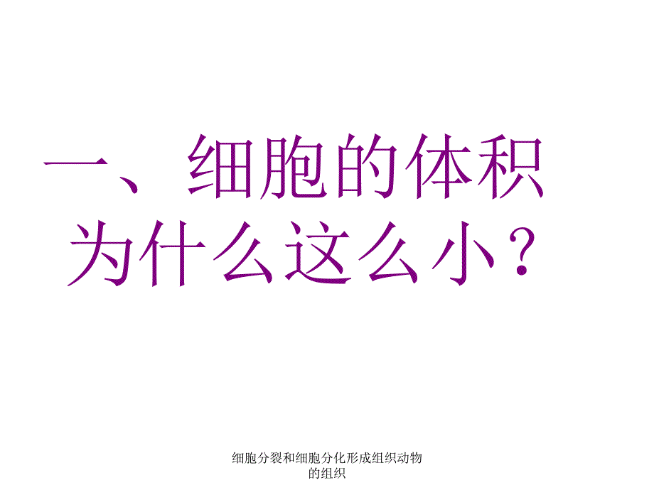 细胞分裂和细胞分化形成组织动物的组织课件_第3页