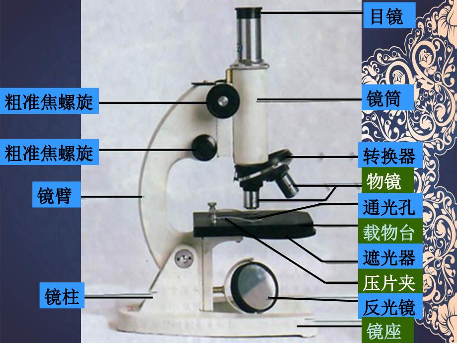 七年级生物上册第二单元检测课件人教新课标版课件_第3页