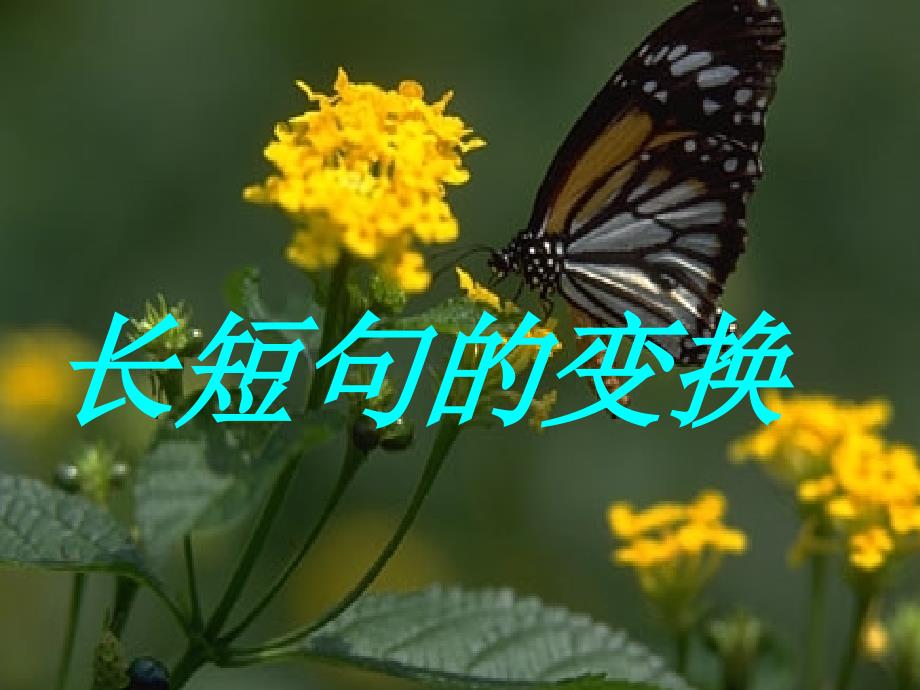 【语文课件】句式变换（长短句的变换）_第1页