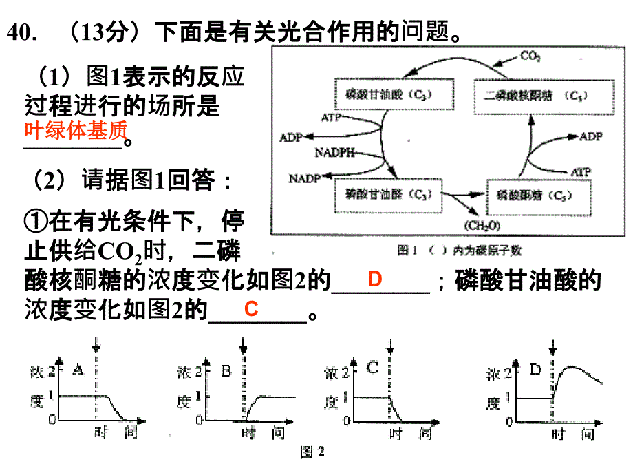 光合作用高考习题_第3页