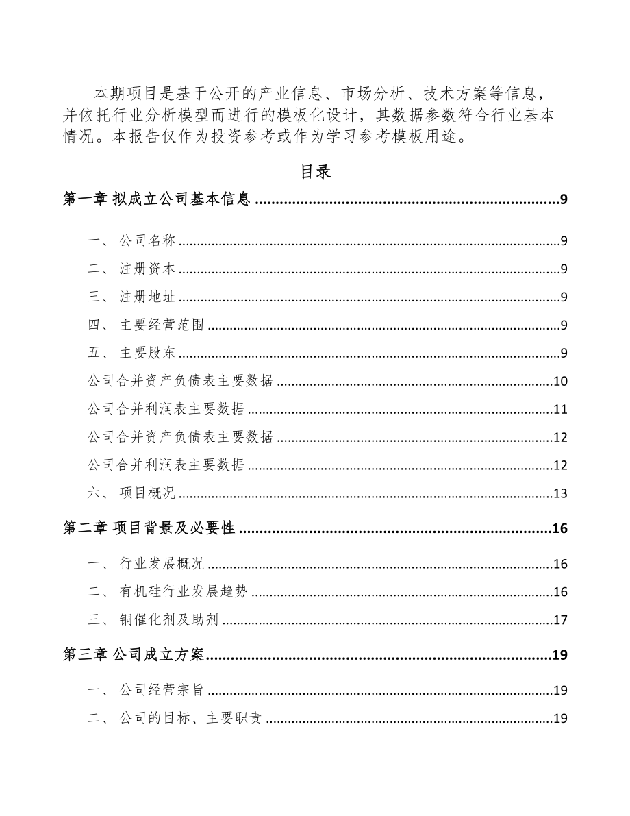 关于成立铜催化剂公司可行性报告(DOC 80页)_第3页