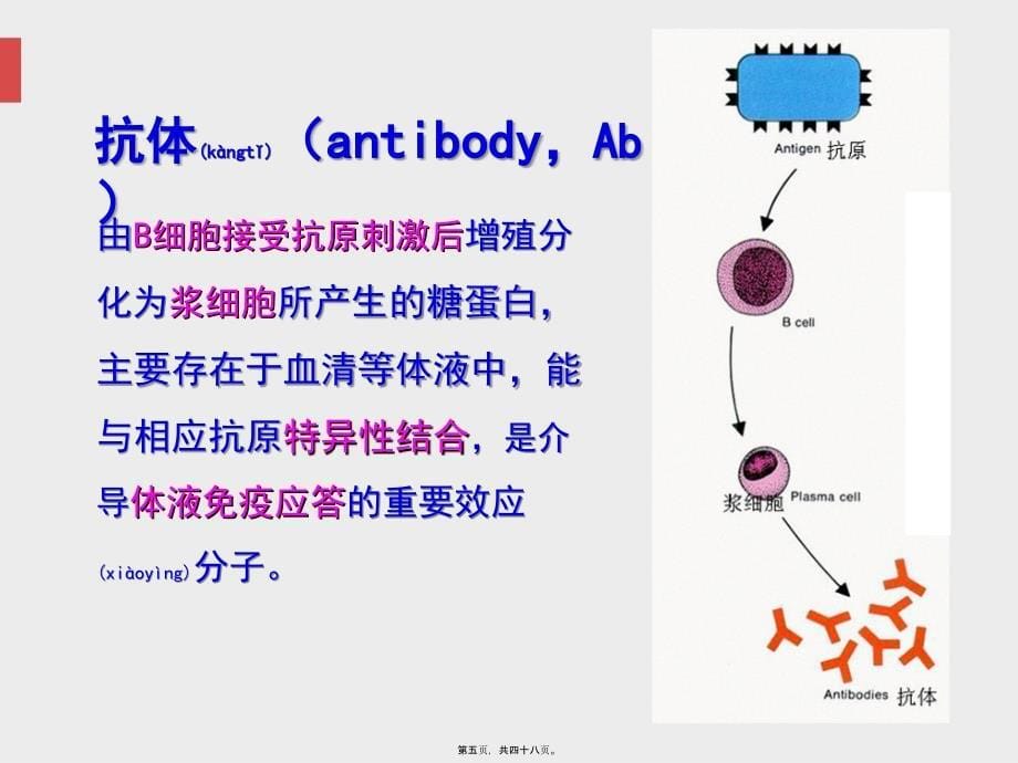 医学专题—免疫球蛋白18541_第5页