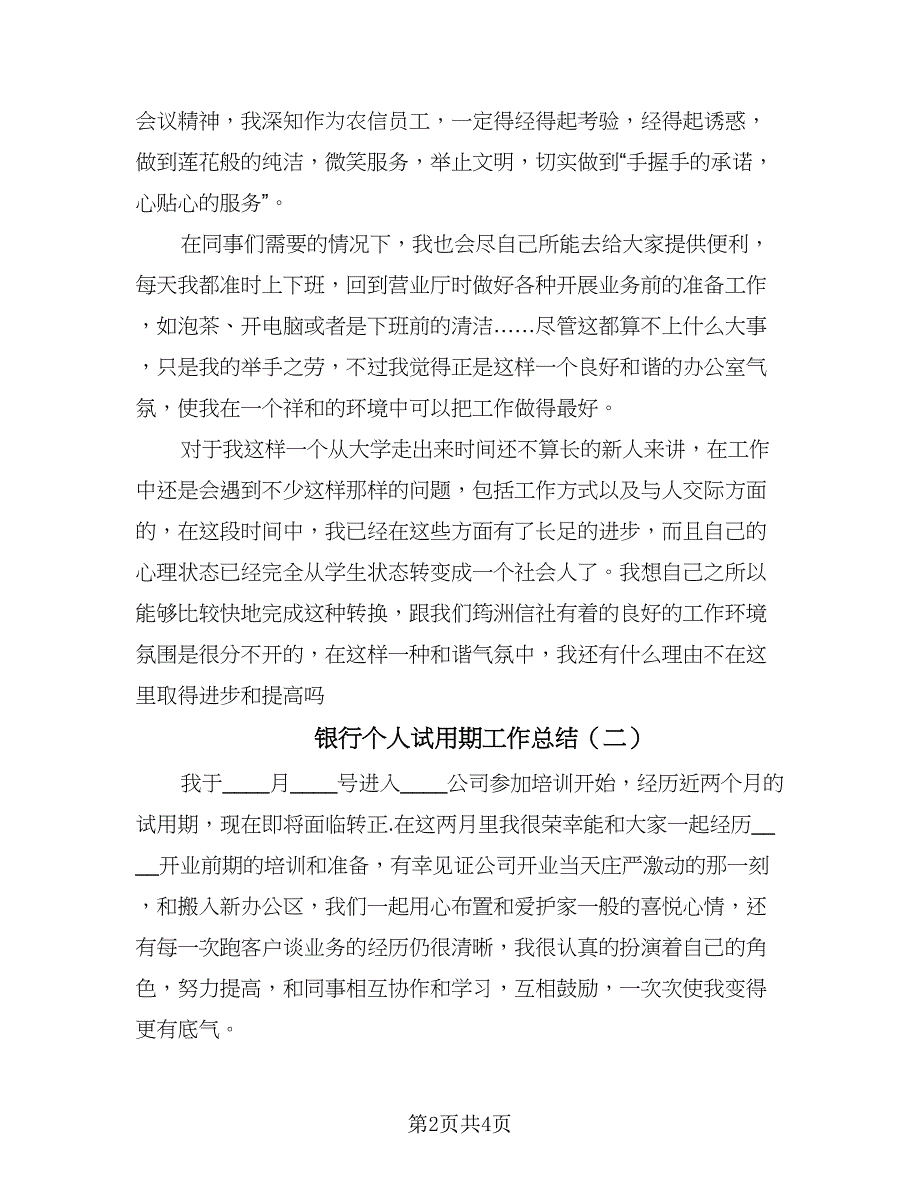 银行个人试用期工作总结（2篇）.doc_第2页