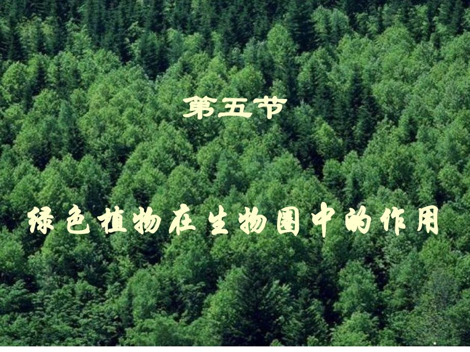 绿色植物在生物圈中的作用复习课件_第1页