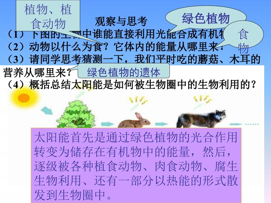 绿色植物在生物圈中的作用复习课件_第4页