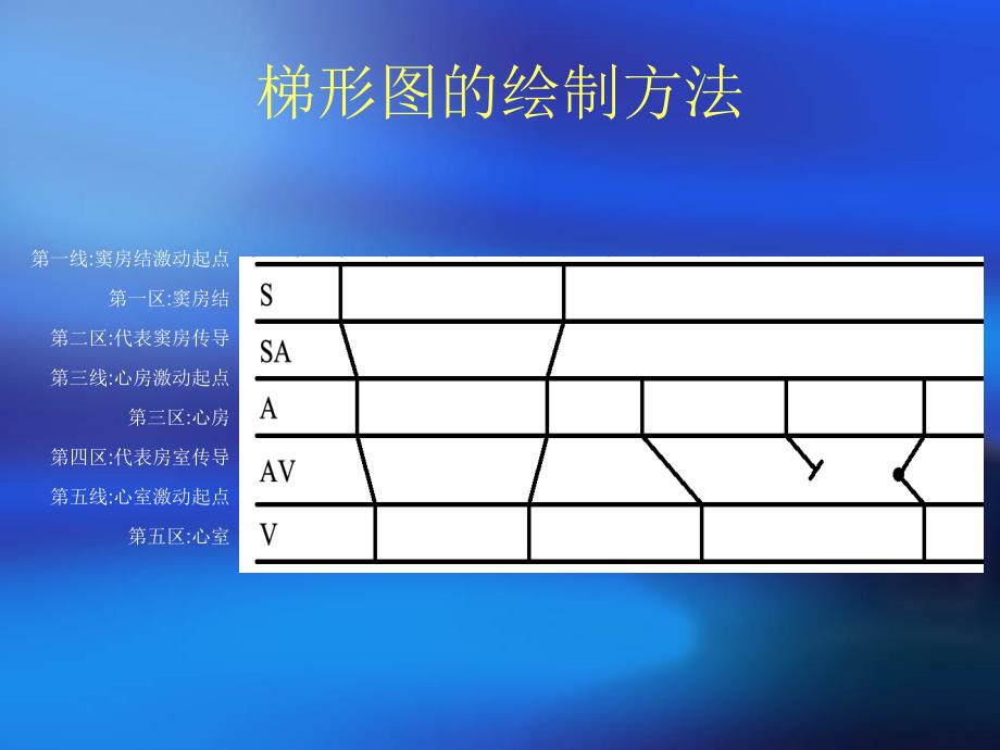 心电图的绘制_第4页