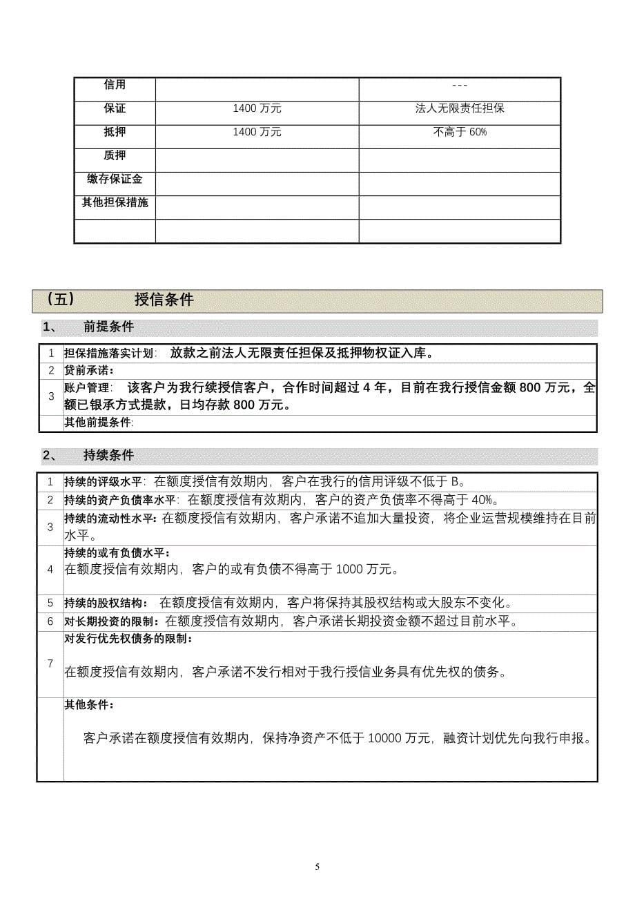 授信报告中信_第5页