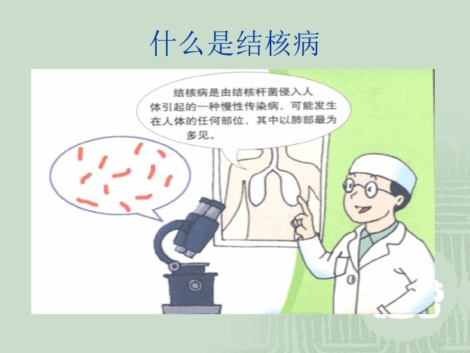 结核病的防治教学教案 ppt课件_第5页