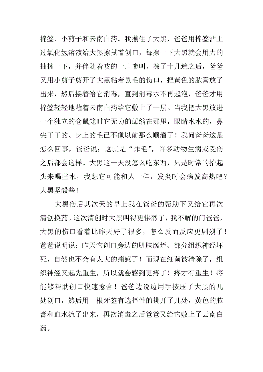 2023年仓鼠小学作文12篇优秀作文小仓鼠_第3页