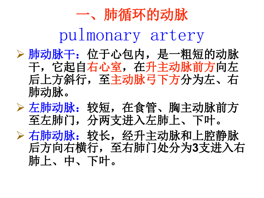 《月脉管动脉定稿》PPT课件_第1页