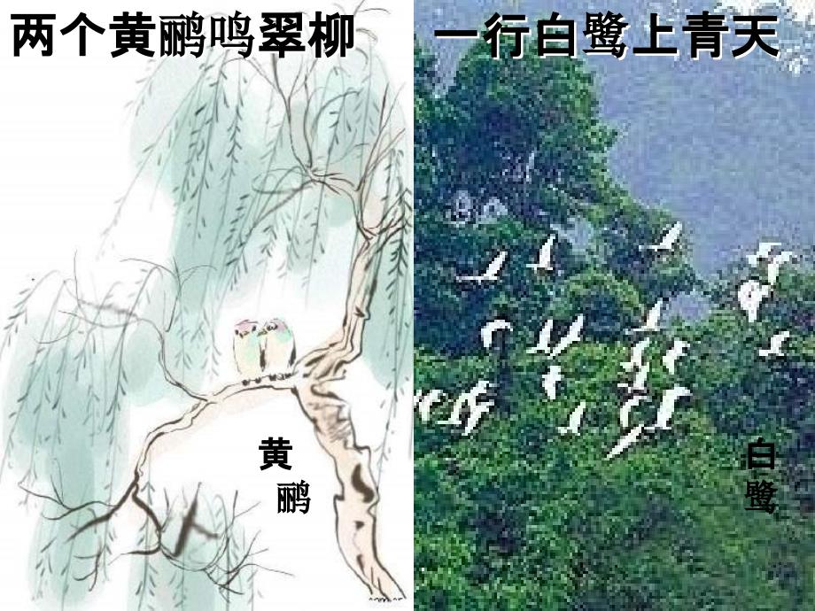 生物第17章第1节动物在生物圈中作用课件北师大版八年级上_第1页