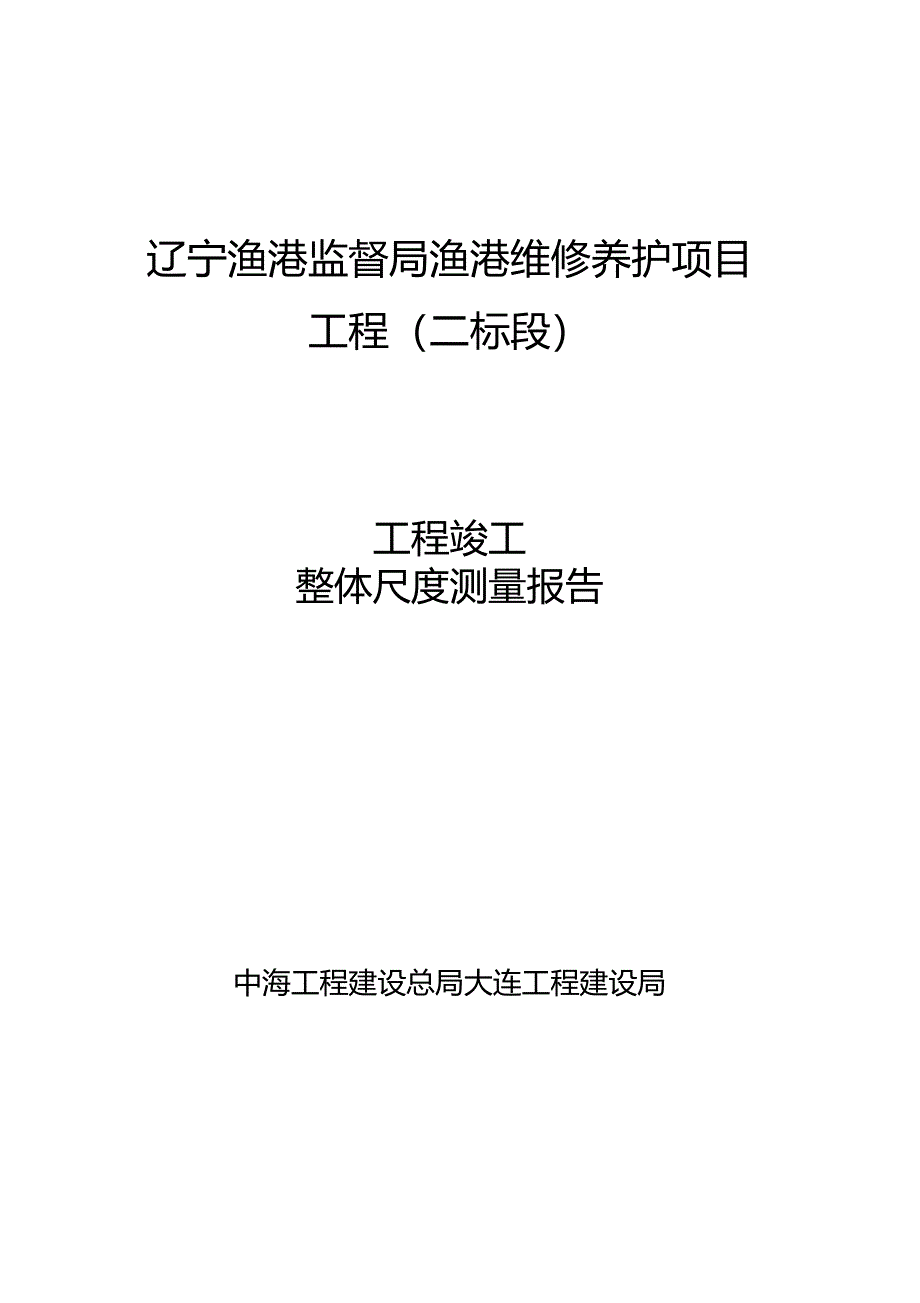 整体尺度报告_第1页