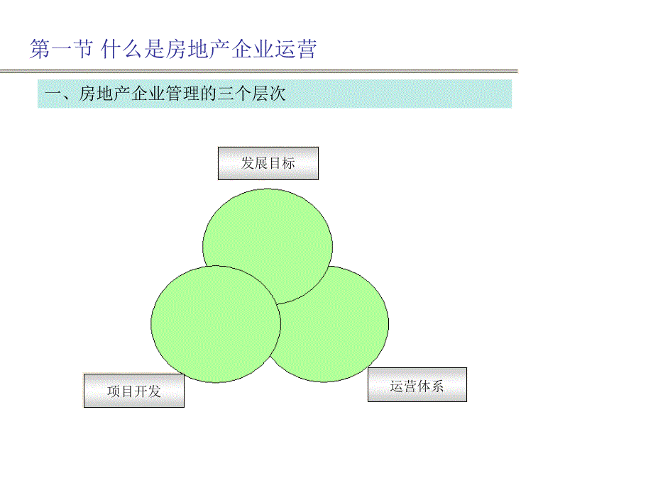 房地产企业运营与计划管理课程_第5页