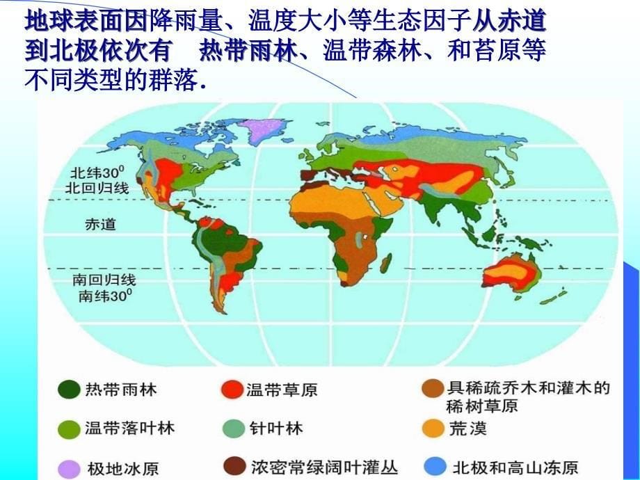 43第三节群落的结构_第5页