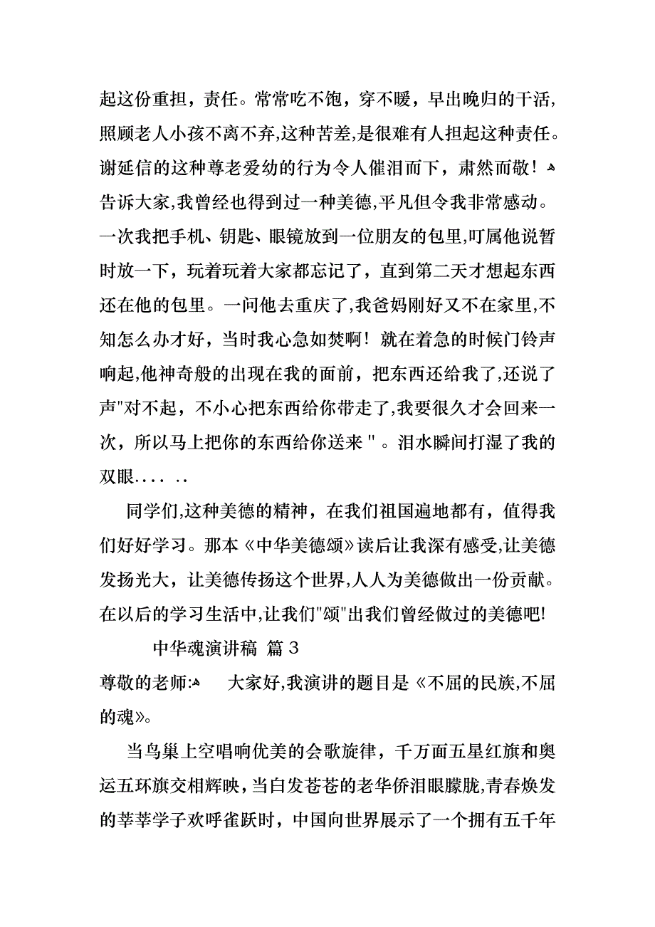 中华魂演讲稿范文锦集六篇_第4页