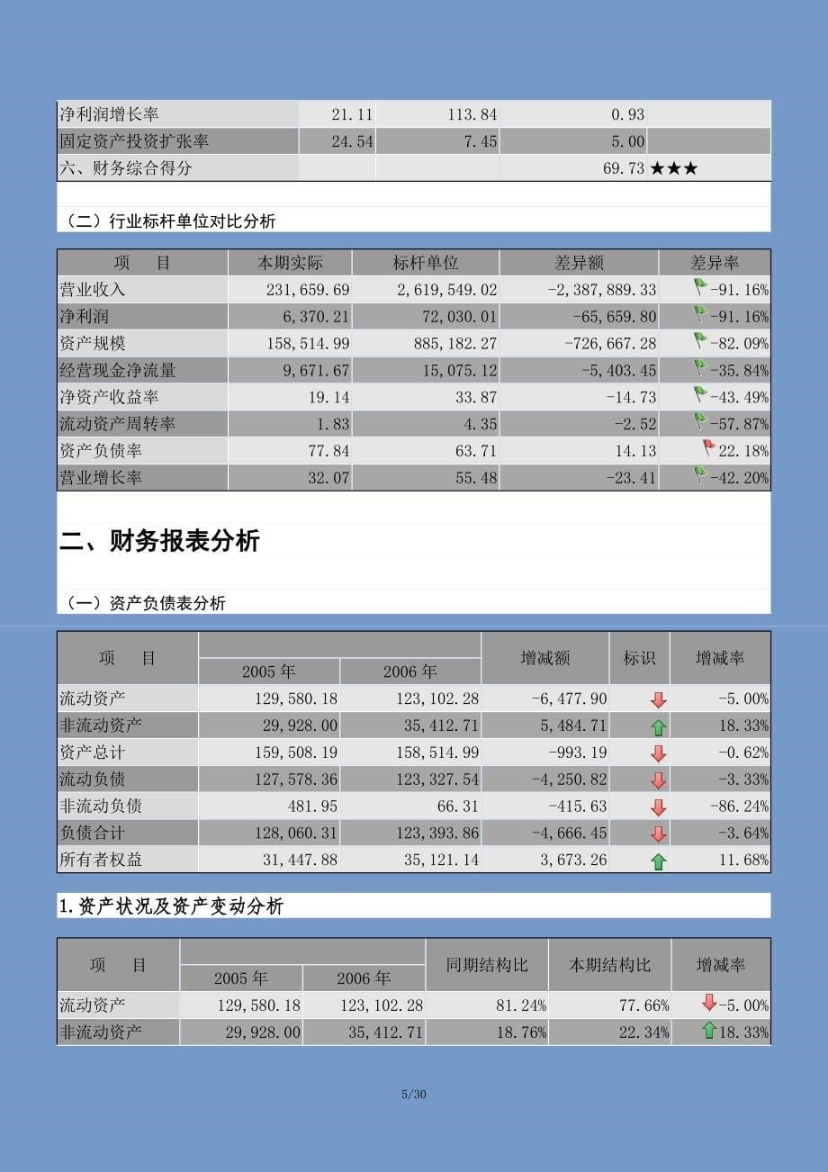 企业年度财务分析报告模板_第5页