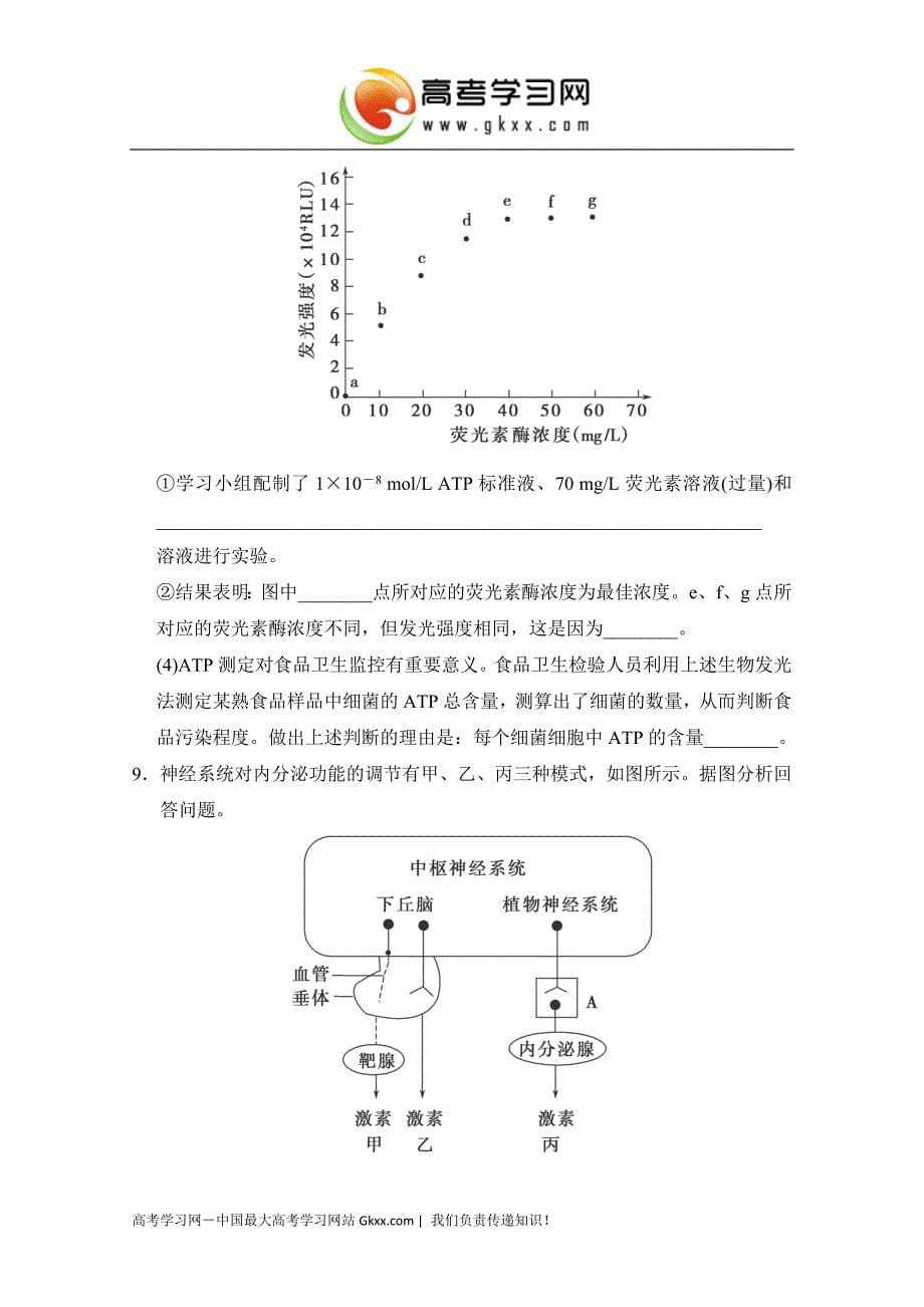 2013高考生物仿真模拟卷(二)(人教版).doc_第5页