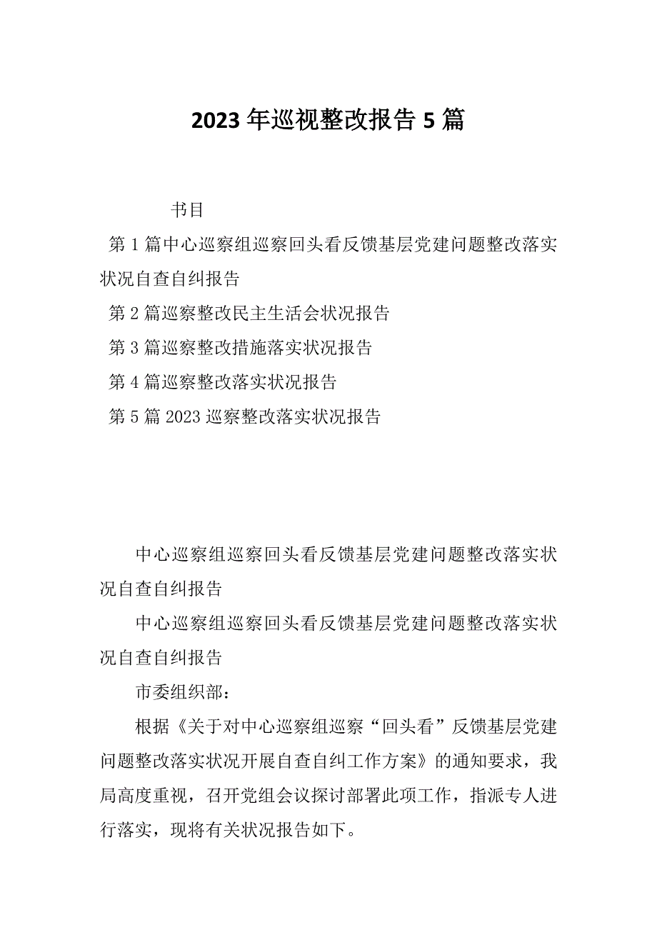 2023年巡视整改报告5篇_第1页