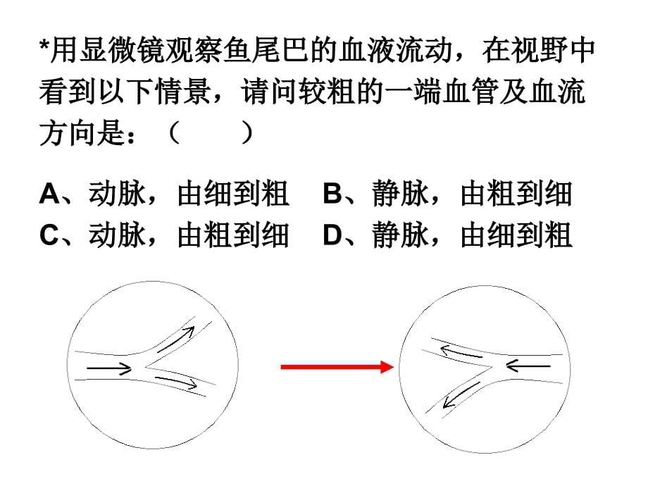 生物中考复习资料专题课件识图资料分析_第5页