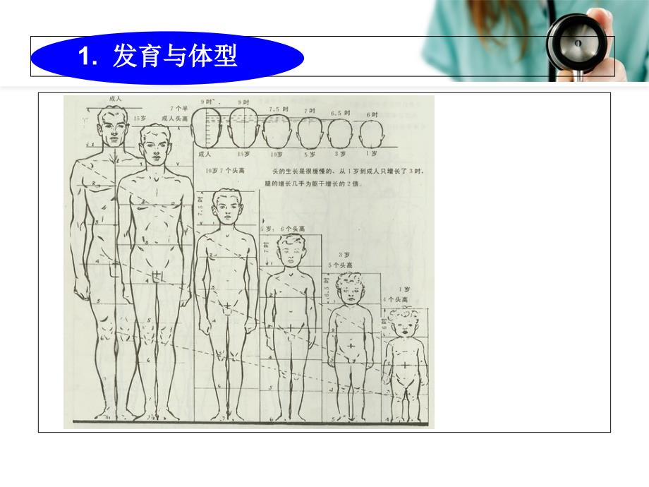 病情观察及危重患者的抢救和护理.ppt_第4页