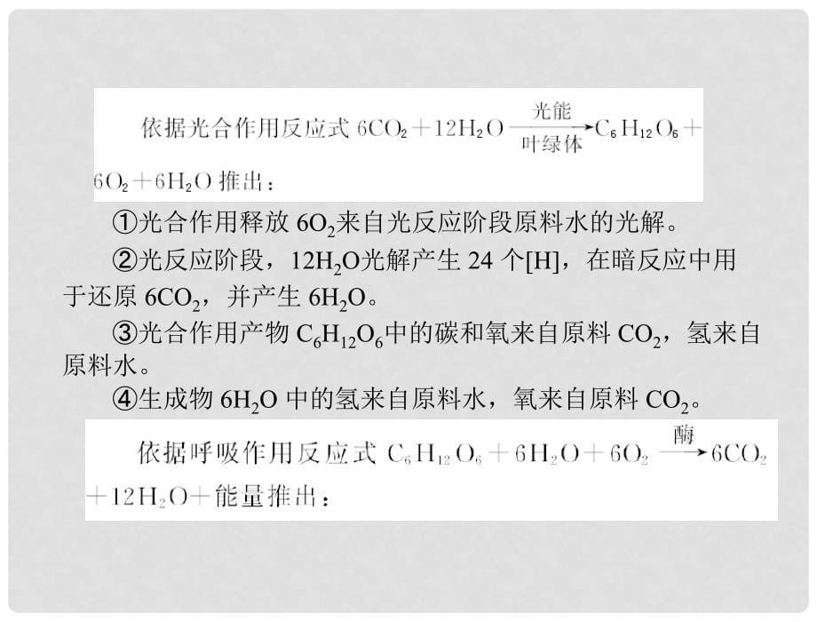 高考生物一轮复习 第5章 本章知识整合课件 新人教版必修1_第5页