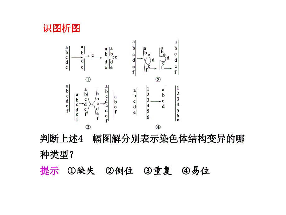 第24课时染色体变异_第2页