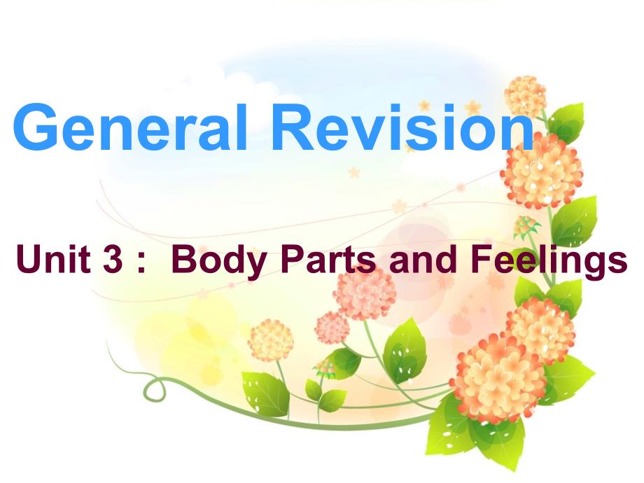 冀教初一上unit3GeneralRevision_第1页