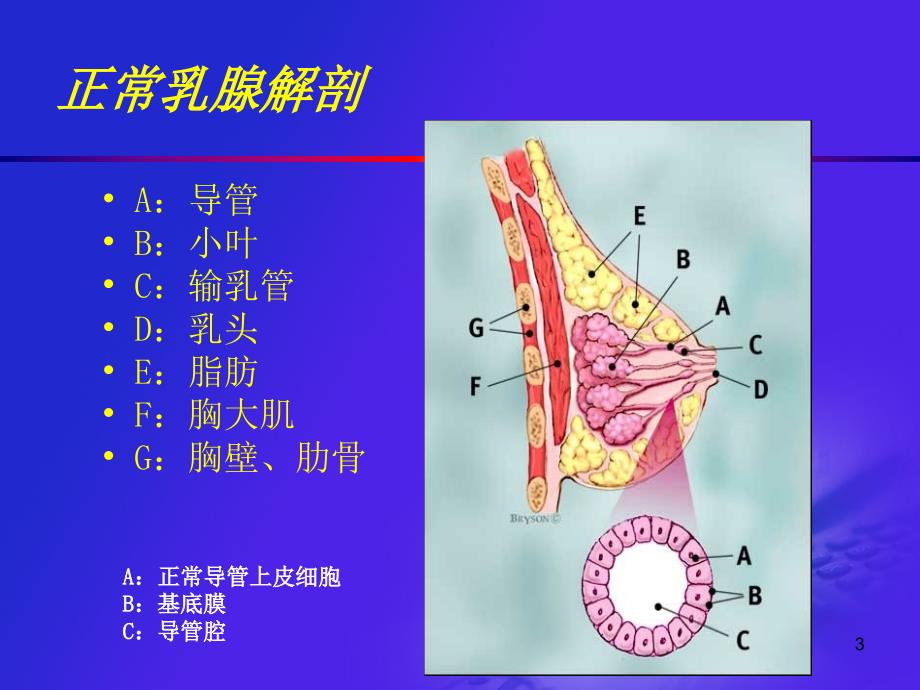 乳腺疾病超声诊断李凤华上海_第3页